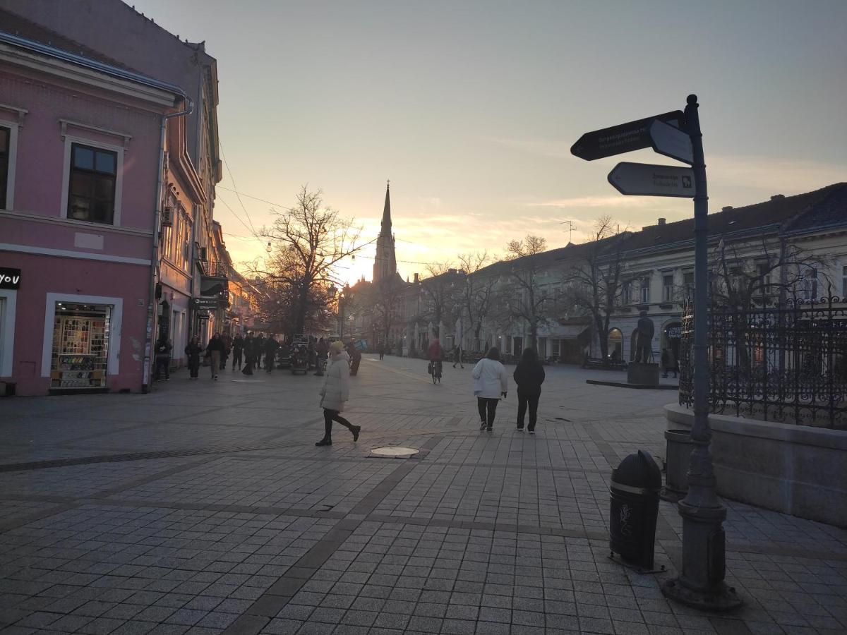 Woody Apartment Novi Sad Exterior foto